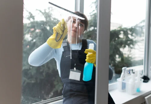 Nettoyage de vitres intérieures et extérieures à Vouillé-les-Marais